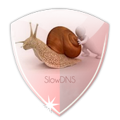 Download VPN Over DNS  Tunnel : SlowDNS APK for Android