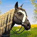 Download Star Equestrian – Horse Ranch APK for Android