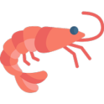 AQUAM For PC Windows