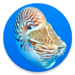 Big Oh Assistant For PC Windows
