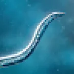 Bionix: Spore Evolution Sim 3D For PC Windows