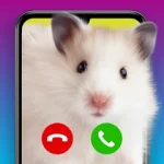 CallSplash For PC Windows