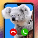 CallVisuals For PC Windows