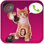 Cat Caller Speaker For PC Windows