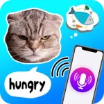 Cat translator - Meow language For PC Windows