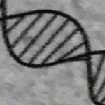 DNA toolkit For PC Windows