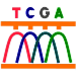 DNAApp: DNA sequence analyzer For PC Windows