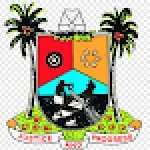 DSVCMS For PC Windows