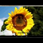 Digital Photo Frame Slideshow For PC Windows