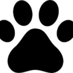 Edad de tu perro For PC Windows