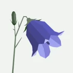 FLORA For PC Windows