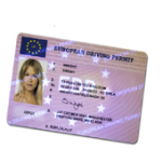 Fake I.D. For PC Windows