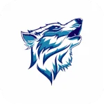 FastFox VPN: Secure VPN Proxy For PC Windows