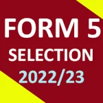 Form Five Selection 2023 For PC Windows