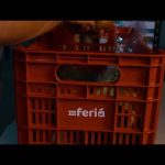 GoFeria - Pide Comestibles Fre For PC Windows