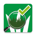 Grasland APK For PC Windows