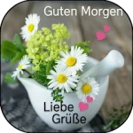 Guten Morgen Bilder For PC Windows