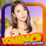 Higgs Domino RP Terbaru 2021 Guide For PC Windows