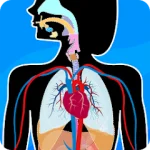 Human Anatomy Learning - Quiz For PC Windows