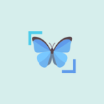 InsectID For PC Windows
