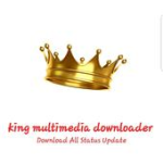 King-multimedia video downloader pro For PC Windows