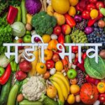 Mandi Bhav मंडी भाव For PC Windows