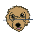 Mung Mung Scanner For PC Windows