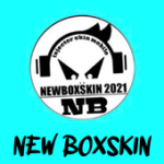New BoxSkin 2021 App Advisor For PC Windows