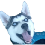 Nova Tracker For PC Windows