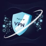 Nut VPN For PC Windows