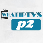 P2WHAT For PC Windows