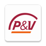 P&V Assist For PC Windows