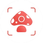 Picture Mushroom - Mushroom ID For PC Windows