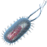Prokaryotic Cell 3D For PC Windows