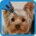 Puppies HD Zipper Lock screen For PC Windows