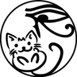 QPiMotion For PC Windows