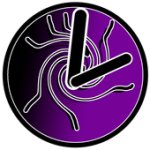 Quantum Timer For PC Windows