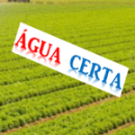 RIGHT WATER For PC Windows