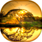 Real Live Wallpaper Scenes For PC Windows