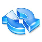 Recovery Info File For PC Windows