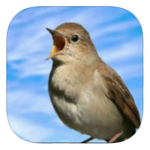 Relaxing Bird Sounds For PC Windows