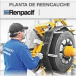 Renpacif For PC Windows