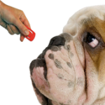 SILBATO CLICKER PERROS For PC Windows