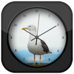 Seagull Clock Live Wallpaper For PC Windows