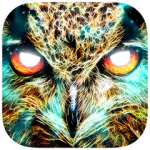 Shamanic Oracle Cards For PC Windows