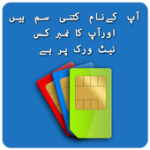 Sim & Network Verification For PC Windows