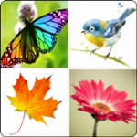 Simple Collage For PC Windows