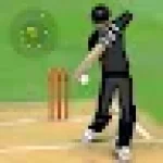 Smashing Cricket: cricket game For PC Windows