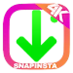 SnapGram Insta Tube Downloader For PC Windows