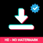 SnapTikTok Video Downloader For PC Windows